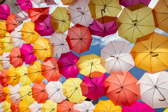 Umbrella Festival" Images – Browse 18 Stock Photos, Vectors, and Video |  Adobe Stock