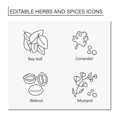 Herbs and spices line icons set. Different types of seasoning. Bay leaf, coriander, walnut, mustard.Food preparation concept. Isolated vector illustrations. Editable stroke