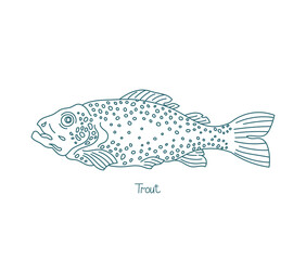 Trout fish belonging to the genera Oncorhynchus, Salmo and Salvelinus. Vector contour line. Open paths. Editable stroke.