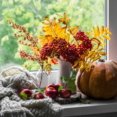 Autumn still life on the window - a bouquet of mountain ash, pumpkin, apples and a knitted blanket....
