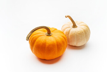 small decorative pumpkins on the white background
