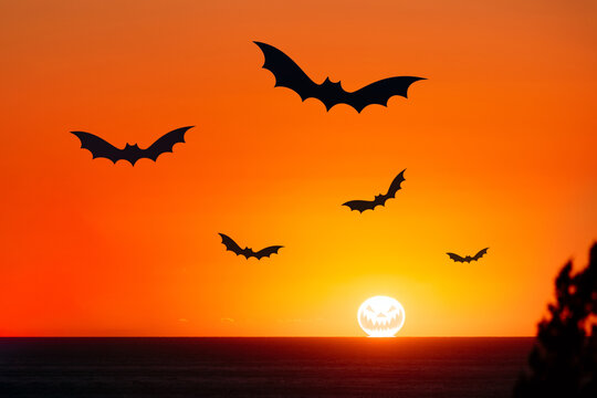 Flying bat silhouette Halloween background 