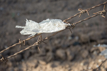 Barbed wire fence to protect and defend a private area.