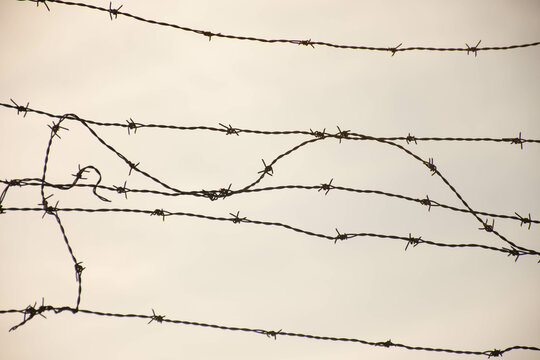 Barbed wire fence to protect and defend a private area.
