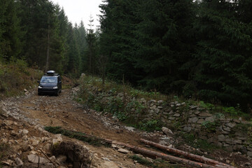 Modern black van on pathway in forest