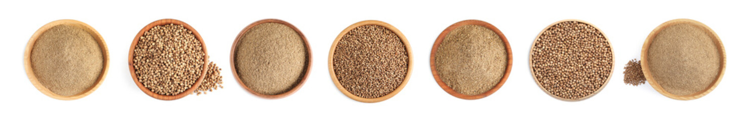 Set with coriander seeds and powder on white background, top view. Banner design