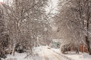 Snow-covered country road through the village. Trees in hoarfrost. Selective focus.