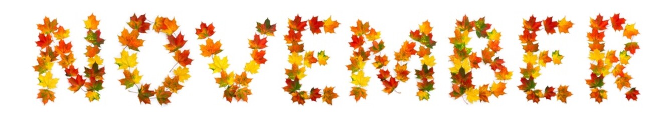 November lettering text from of colorful autumnal maple leaves on white background. Top view, flat lay