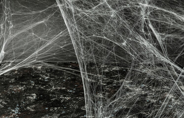 Textured spider web on a black background.