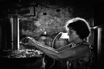Grape harvest: old woman keep in his hands must taken from a winepress. Black and white picture