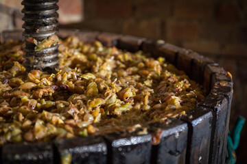 Grape harvest: Wine press with white must in a old winery