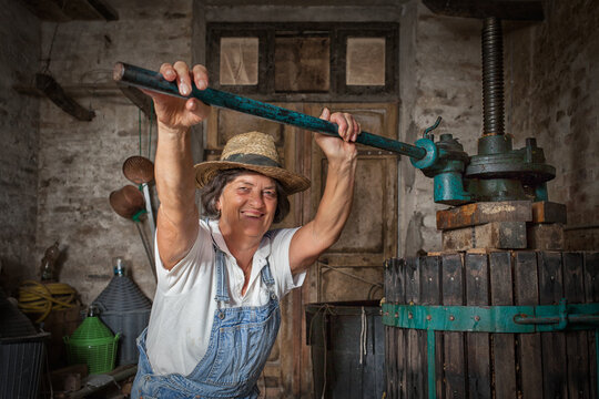 Grape harvest: Old woman smiling winemaker  working on a traditional winepress for the must pressing. Old winery background