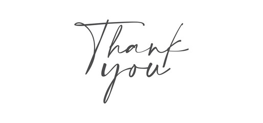 Thank You Hand drawn lettering. Calligraphy. Handwritten style inscription.