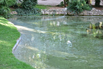 waterfall in the park