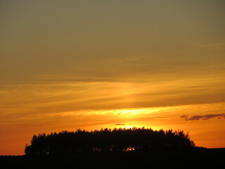 Beautiful sunset on the background of the forest, the forest in the distance at sunset, a bright orange sunset.