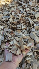 Alternative fuel, ecological fuel, biofuel Wood sawdust, sawdust close-up background. Sawdust texture

