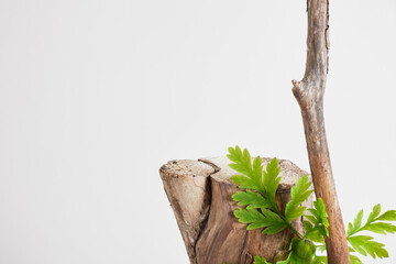 log, leaves and cardboard on gray background, mock-up background for presentation of your product