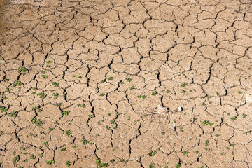 Drought is the greatest danger of our time, wetlands are drying up day by day.
