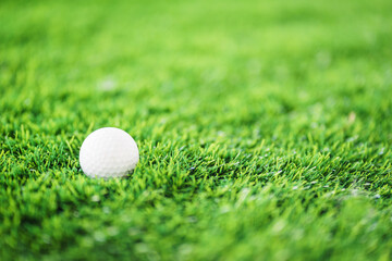 Golf ball and putter on the green grass next to the hole.