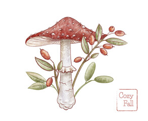Mushrooms illustration. Autumn nature decor. Fly agaric, red berries hand drawn. Forest mushrooms.