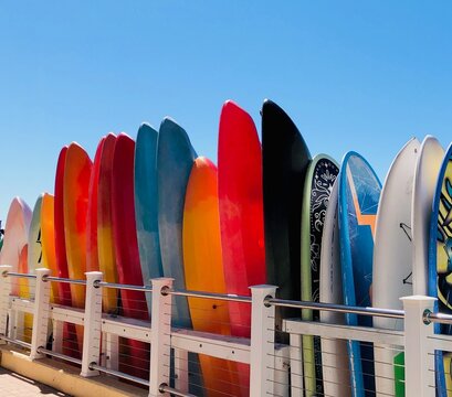 Surfing in the Bay