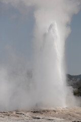 faithful geyser