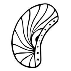 Patterned curls close-up on a white background. Fragments of vector graphics. Material for creating ornaments and seamless designs.