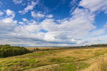 Fototapeta na wymiar Road through fields. Country road in summer field and clouds on blue sky.