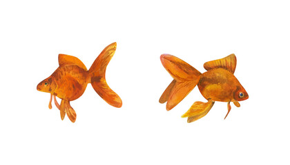 Goldfish. Watercolor illustration isolated on a white background. A symbol of success, wealth, and prosperity.