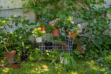 Flowers in сachepot as garden decoration - 459549784
