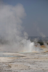 geyser in park national park