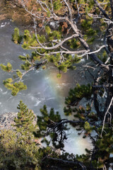 waterfall in the forest