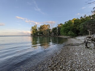 river and trees