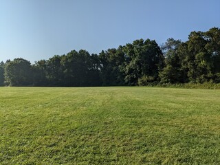 field and blue sky