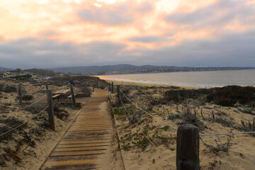 The Beach at Monterey Bay California on a foggy day
