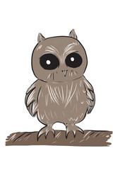 owl on a branch