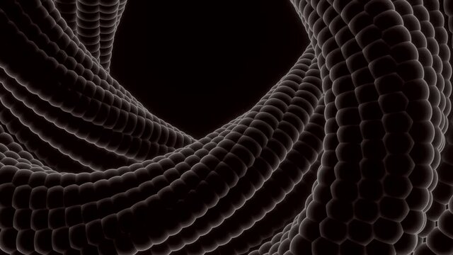 Animation with swirling loop on black background. Design. 3D twisting loop with snake texture. Rotating spiral made of snake skin