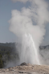 Fototapeta na wymiar faithful geyser
