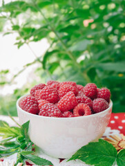 Raspberries in the garden.Fresh organic raspberries .Healthy eating, diet . Selective focus.