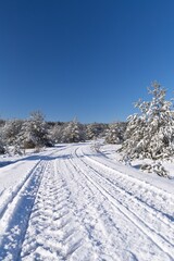 Frost and snow covered road in winter forest landscape background with tire tracks