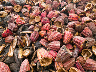 cocoa beans