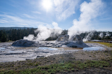 Grotto Geyser in Yellowstone National Park USA