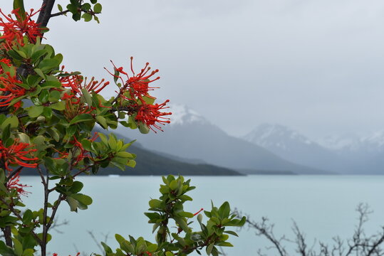 Glaciar Perito Moreno, EL Calafate, Argentina