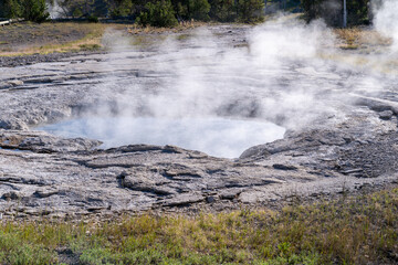 Spa Geyser in Yellowstone National Park