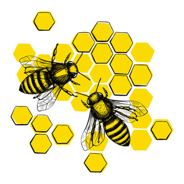 bees flying near yellow honeycomb clip art preview