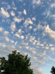 Fototapeta premium sky and clouds