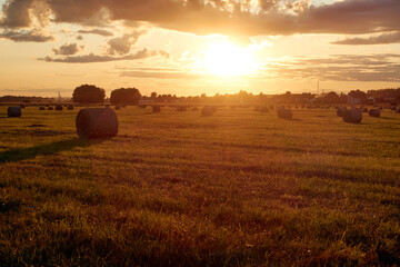 A field with haystacks on a summer or early autumn evening with a cloudy sky in the background....
