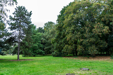 Autumn scenery in the Tiergarten Park in the City Center of Berlin, Germany