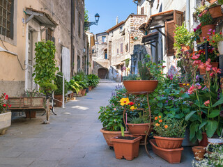 narrow street in italian city with a lot of flowers