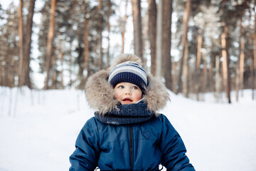 Fototapeta na wymiar Portrait of child in snowy spruce forest. Little kid boy having fun outdoors in winter nature. Christmas holiday. Cute toddler boy in blue overalls and knitted scarf and cap walking in park.
